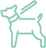 Dog Walking